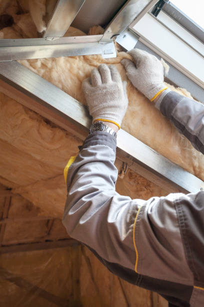 Best Best Insulation Companies  in Oglethorpe, GA