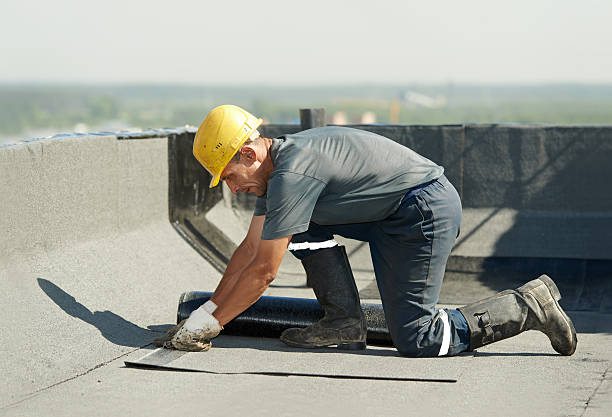Best Affordable Insulation Services  in Oglethorpe, GA